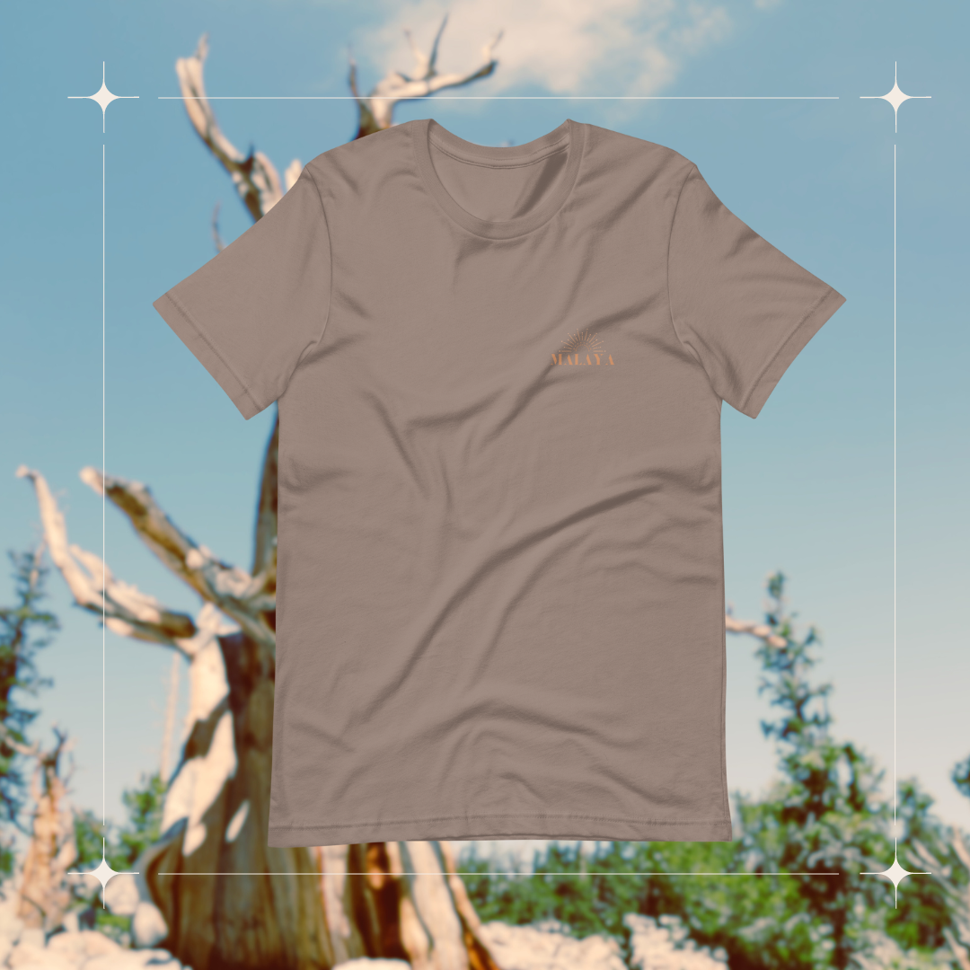 DESERT SOUL (Back Graphic) Unisex T-Shirt in Pebble